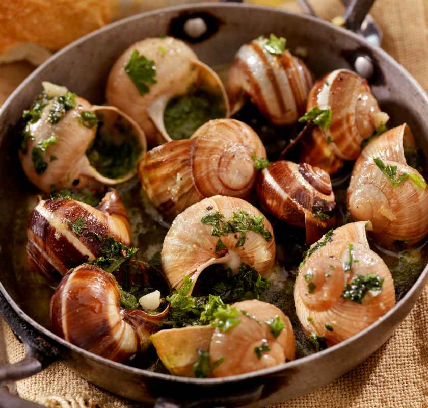 Sniglar i burk 24 st stora escargots