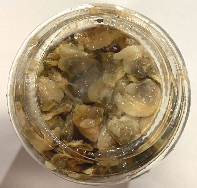 Vongole italienska skalade musslor