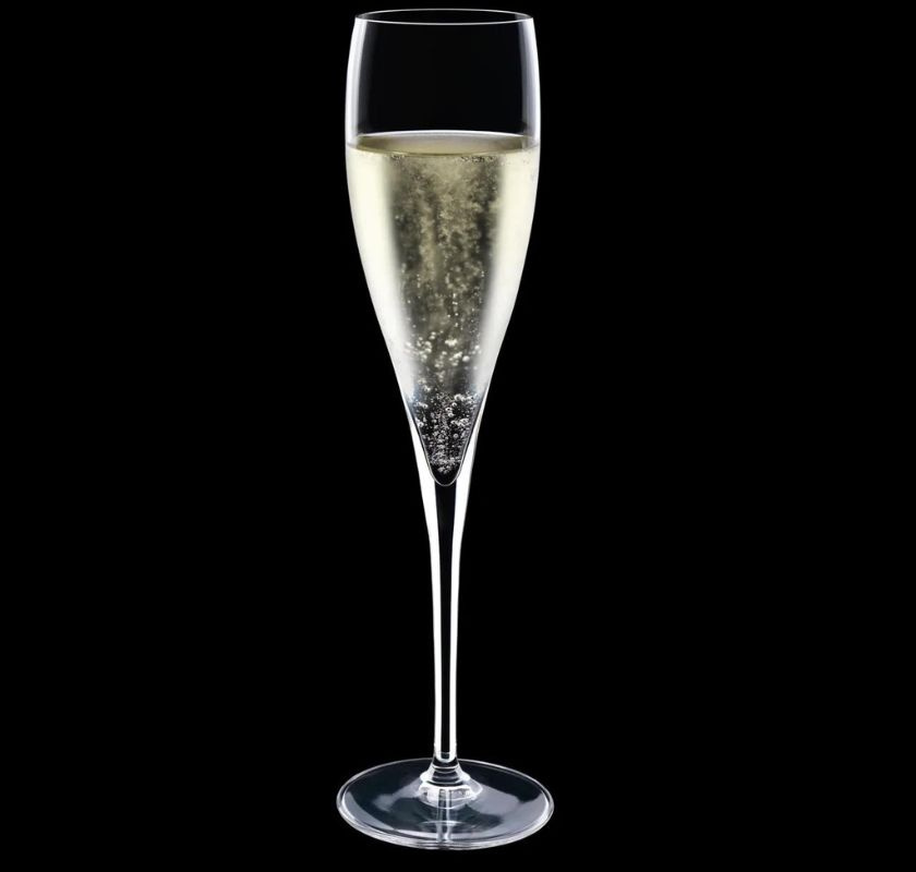 Champagneglas Vinoteque fyllt mos svart bakgrund