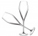 Champagneglas atelier 2 st Champagneglas atelier 2 st