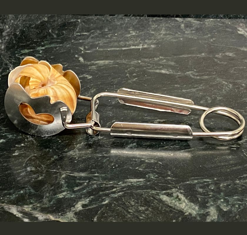 Snigelt�ng med sn�ckskal