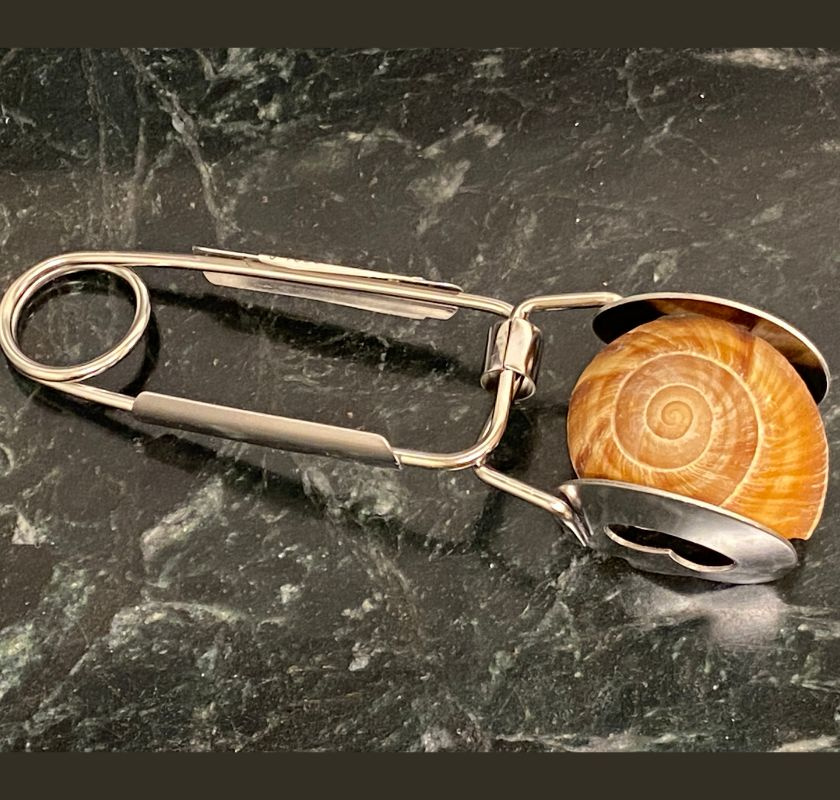 Snigelt�ng med sn�ckskal