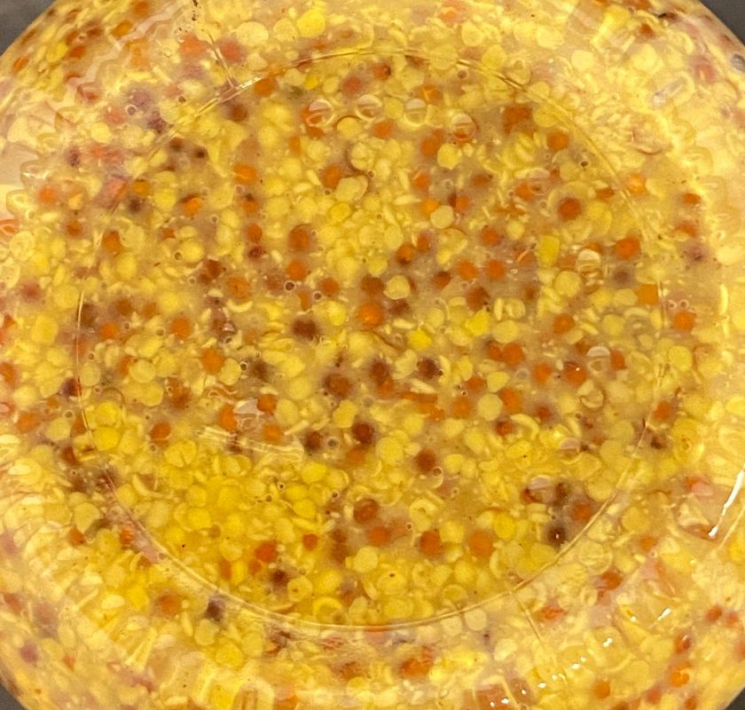  Dijonsenap grov Reine de Dijon undersidan av burken