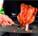 Hand griper kycklinghllare med kyckling som str p grillen grillen