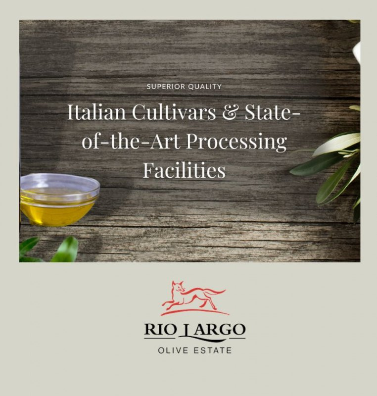 Extra virgin olivolja Rio Largo