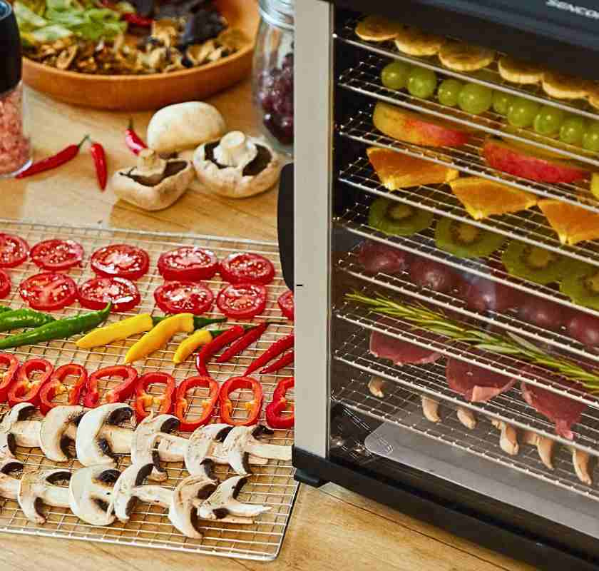 Mattork med svamp och gr�nsaker