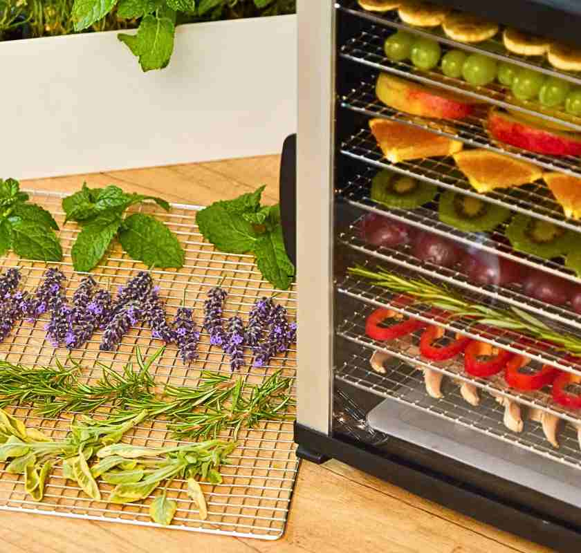 �rter och blommor torkas i toktugnen