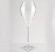 Champagneglas i plast 6-pack Champagneglas i plast 6-pack