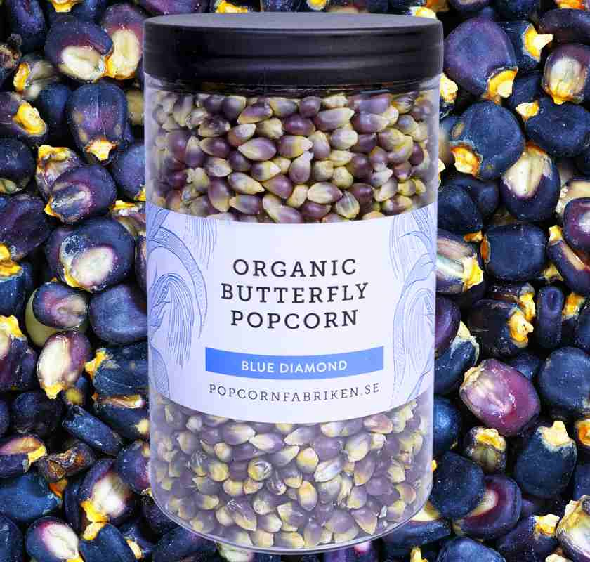 Popcornmajs bl� ekologisk