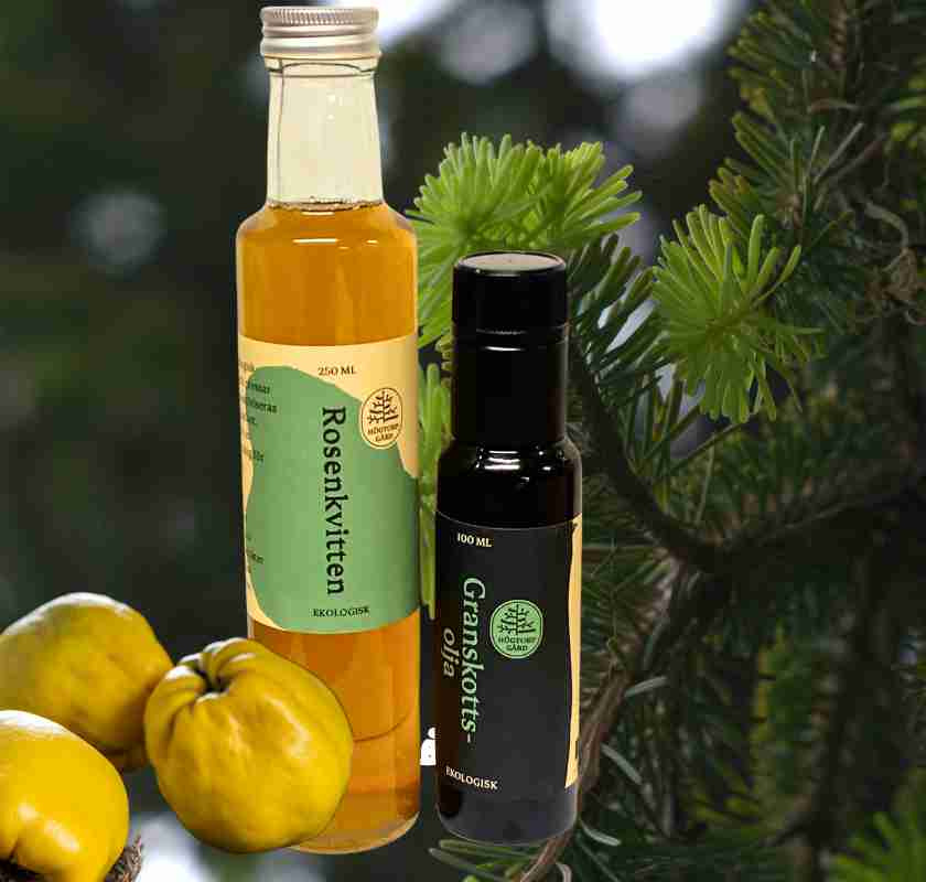 Rosenkvitten & granskottsolja med bakgrund av granskott & kvitten