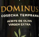 Dominus Picual XV early harvest DOP Dominus Picual XV early harvest DOP detalj av etiketten