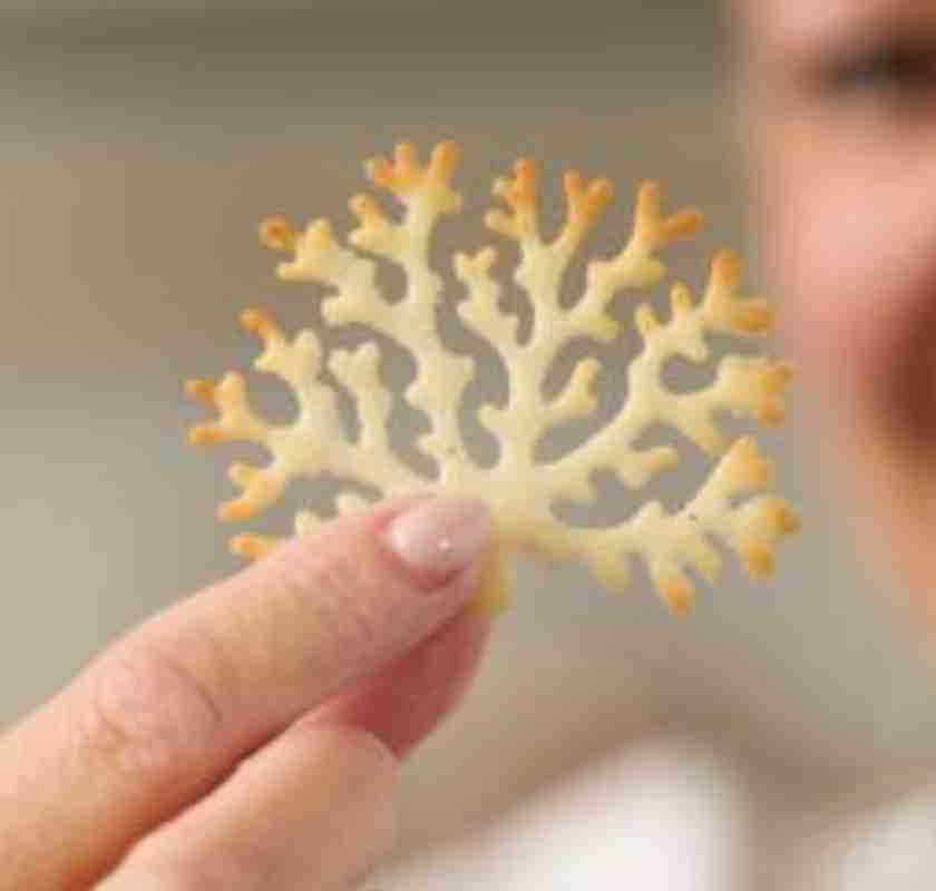 Tuile-form tr�d eller korall, h�ller upp ett bakat tr�d