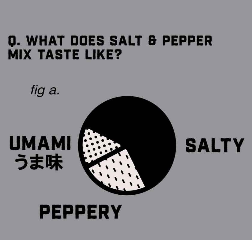 Salt & Pepper MSG Flavour Boost Honest Umami