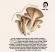 MSG finns naturligt i svamp - Honest Umami MSG finns naturligt i svamp Honest Umami